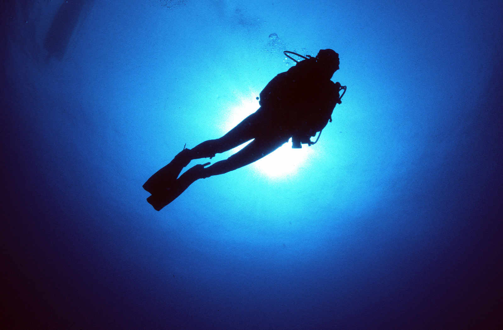 diver underwater